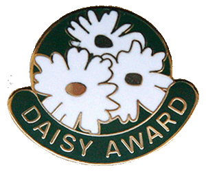 daisy award pin